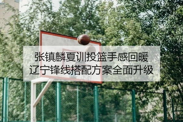 张镇麟夏训投篮手感回暖 辽宁锋线搭配方案全面升级